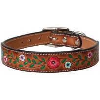 Weaver Pet Dog Collar, 06005-16-19, Painted Floral, 1 IN x 19 IN