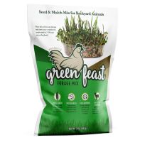 Amturf Green Feast Forage Mixture, 36018, 2 LB