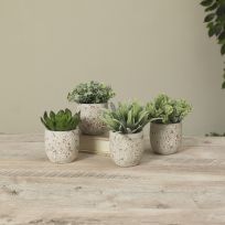 Gerson International 5 IN Artificial Succulent in Cement Pot, Assorted, 2578970