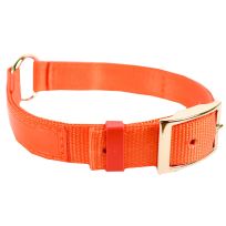 Scott Pet Dog Collar with Reflexite, 1654OR16, Orange, 1 IN x 16 IN