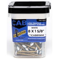 BIG TIMBER® White T-20 Round Washer Head Screw, 149-Count Bucket, 1CAB8158W, #8 x 1-5/8 IN