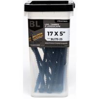 BIG TIMBER® Hex Head Black Log Screw, 25-Count Bucket, BL175-25, #17 x 5 IN