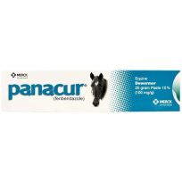 Merck Panacur Dewormer Equine Paste 10%, 13049171, 25 G
