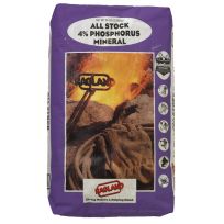 RAGLAND® All Stock 4% Phosphorus Mineral, 32052, 50 LB Bag