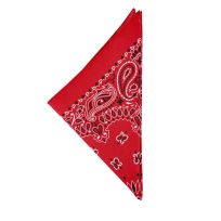 The Bandanna Company Paisley Bandanna, B22PAI-000001, Red, 22 IN x 22 IN