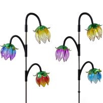 Alpine Solar Garden Stake with 3 Flowers and LED Lights, Assorted, RGG678ABB-TM