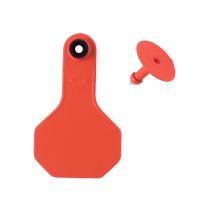 Y-Tex 2 Star 2-piece Blank Livestock Ear Tags, 25-Pack, 7503000, Orange