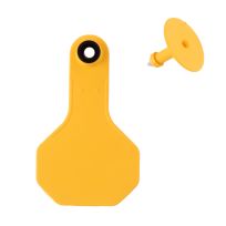 Y-Tex 2 Star 2-piece Blank Livestock Ear Tags, 25-Pack, 7513000, Yellow