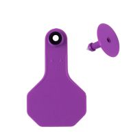 Y-Tex 2 Star 2-piece Blank Livestock Ear Tags, 25-Pack, 7517000, Purple