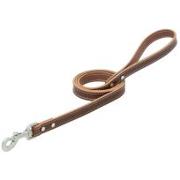 TERRAIN D.O.G. Bridle Leather Dog Leash