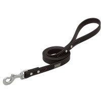 TERRAIN D.O.G. Brahma Webb Dog Leash