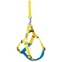TERRAIN D.O.G. Reflective Neoprene Lined Dog Harness