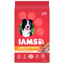 IAMS Adult High Protein Dry Dog Food with Lamb and Rice, 10171575, 15 LB Bag