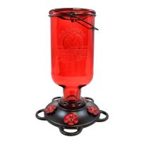 More Birds Elixir Hummingbird Feeder, 38