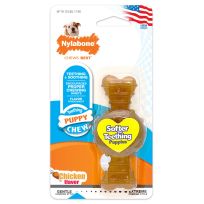 Nylabone® Ring Puppy Chew Toy, N901P, 1 OZ