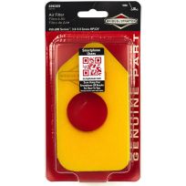 BRIGGS & STRATTON® Air Filter (DIY Package Version of 698369), 5088K