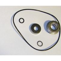 Ace Pump Repair Kit, RK-FMC