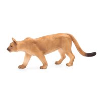 Mojo Mountain Lion, 387143