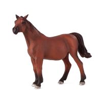 Mojo Arabian Mare in Foal, 387194