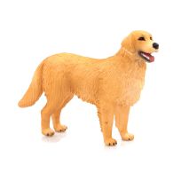 Mojo Golden Retriever, 387198