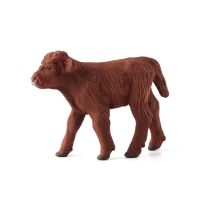 Mojo Highland Calf, 387202