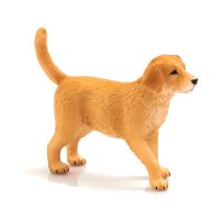 Mojo Golden Retriever Puppy, 387205