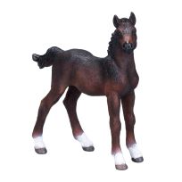 Mojo Hanoverian Foal Bay, 381018