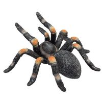 Mojo Red Kneed Tarantula, 387213