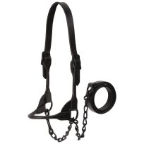 WEAVER LIVESTOCK™ Black Magic Show Halter, 80401-50, Black, Medium