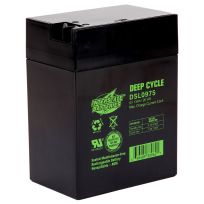 Interstate Batteries Deep Cycle Rechargeable Battery, 6V, 13Ah / 20 Hour, DSL0975