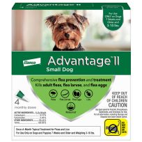 Elanco™ Advantage™II Flea Treatment for Small Dogs 3-10 LB, 4-Doses, ADV20240
