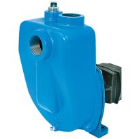 Pentair Flow Technologies Centrifugal Pump, 9303C-HM1C