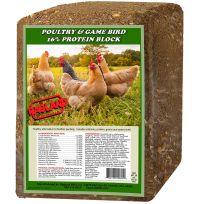 RAGLAND® Poultry & Game Birds 16% Protein Block, 10621, 25 LB