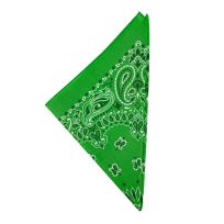 The Bandanna Company Paisley Bandanna, B22PAI-000005, Green, 22 IN x 22 IN
