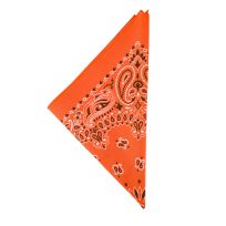 The Bandanna Company Paisley Bandanna, B22PAI-000009, Orange, 22 IN x 22 IN