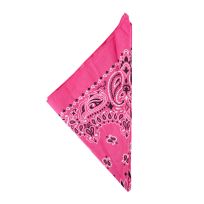 The Bandanna Company Paisley Bandanna, B22PAI-000039, Hot Pink, 22 IN x 22 IN