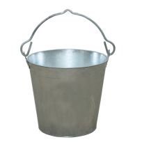 Little Giant Galvanized Dairy Pail, GP12, 12 Quart