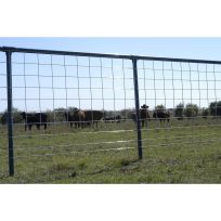 OKBRAND Select Cattle Wire Panel, 0060-0, 50 IN x 16 FT