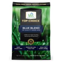 TOP CHOICE® Blueblend Kentucky Bluegrass, 4400031, 3 LB