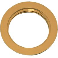 Advanced Agri-Direct 1" Valve Bulkhead Nut, BN100