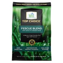 TOP CHOICE® Fescue Blend Grass Seed, 4400145, 3 LB