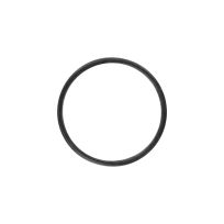 GreenLeaf Replacement Strainer O-Ring, 1-1/2 IN & 2 IN, LS150GBG1