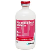 Merck Bovilis Piliguard Pinkeye 1, 50-Doses, 21278551