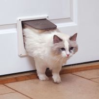 PetSafe® 4-Way Locking Interior Cat Door, P1-ZB-11, Brown, Small