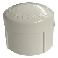 PVC Pipe Cap, Schedule 40, 1 IN FPT, 435425