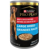 PURINA® PRO PLAN® Large Breed Gravy Wet Dog Food, Beef & Rice Entree, 198-623-15, 13 OZ Can