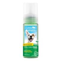 TROPICLEAN® Fresh Breath Mint Foam for Pets, FBMNFM4.5Z, 4.5 OZ