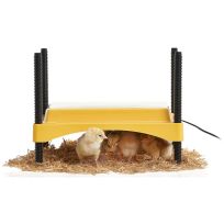 Brinsea EcoGlow Safety 600 Chick Brooder, USHD611C