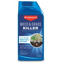 BIOADVANCED® Weed & Grass Killer, Super Concentrate, 704195A, 32 OZ
