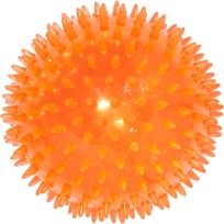 MAIN ST. PET™ Spiky Bouncy Ball Dog Toy, 5 IN, MSP-110-S